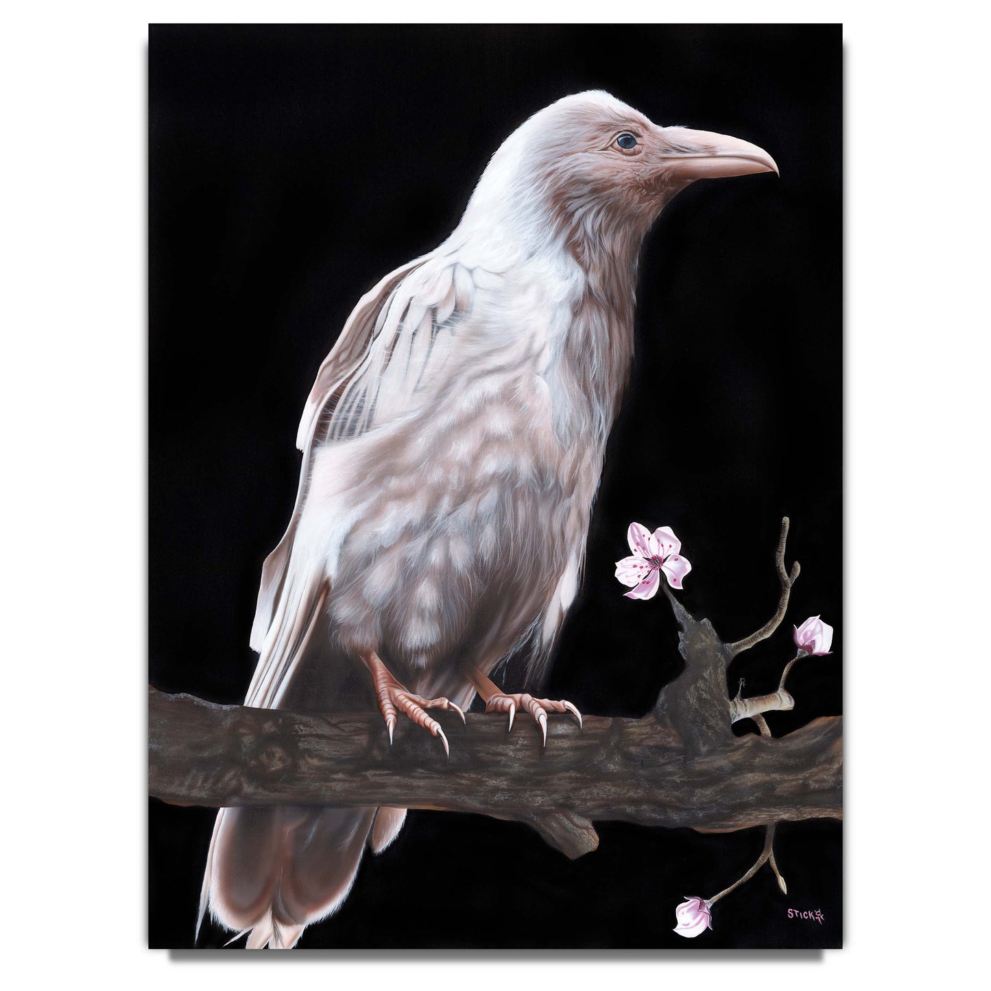 Stickman "My Uniform is Invisible" (White Raven) Limited Edition Giclee