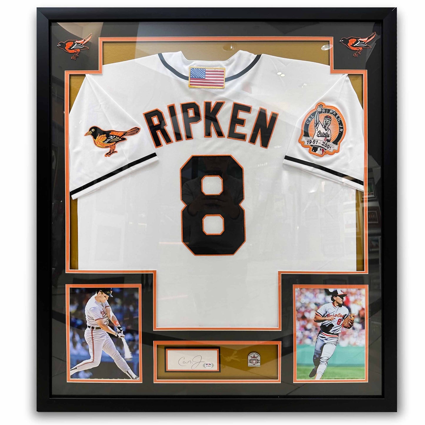 Art Center Gallery 8 CAL RIPKEN Jr. Framed Sports Jersey