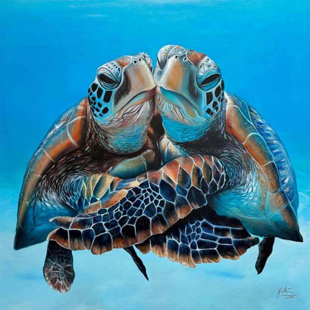 Turtles Painted by Kai Lava
