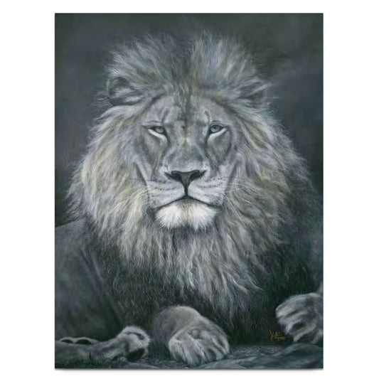 Kai Lava "Leo" 