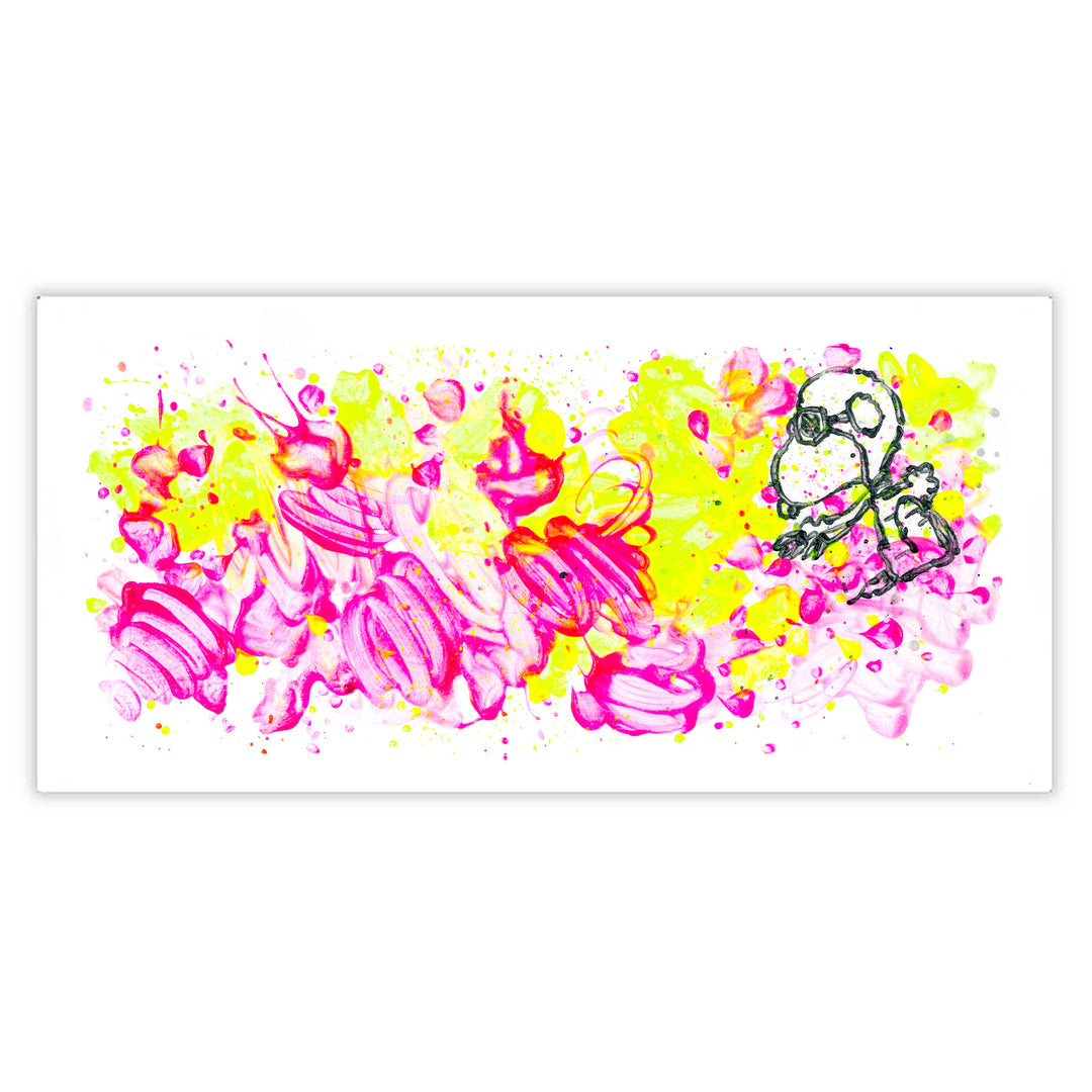Tom Everhart Partly Cloudy Limited Edition