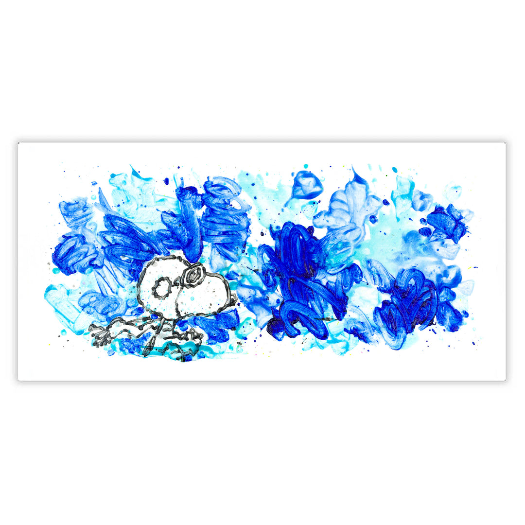 Tom Everhart Partly Cloudy Limited Edition