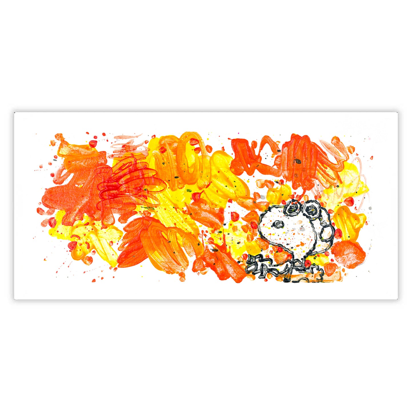 Tom Everhart "Partly Cloudy" Limited Edition