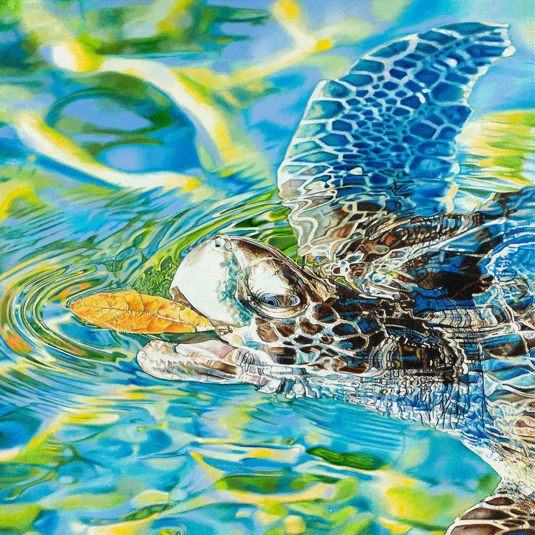 John-Mark Gleadow Brilliance Limited Edition