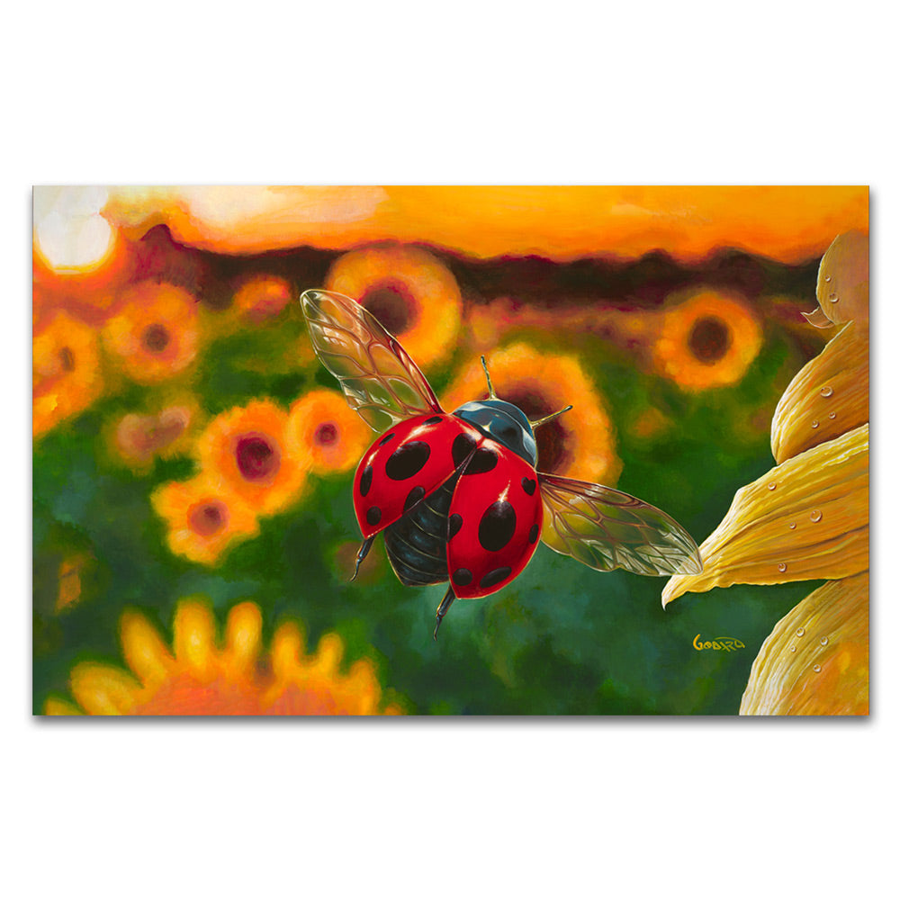 Ladybug Reimagined