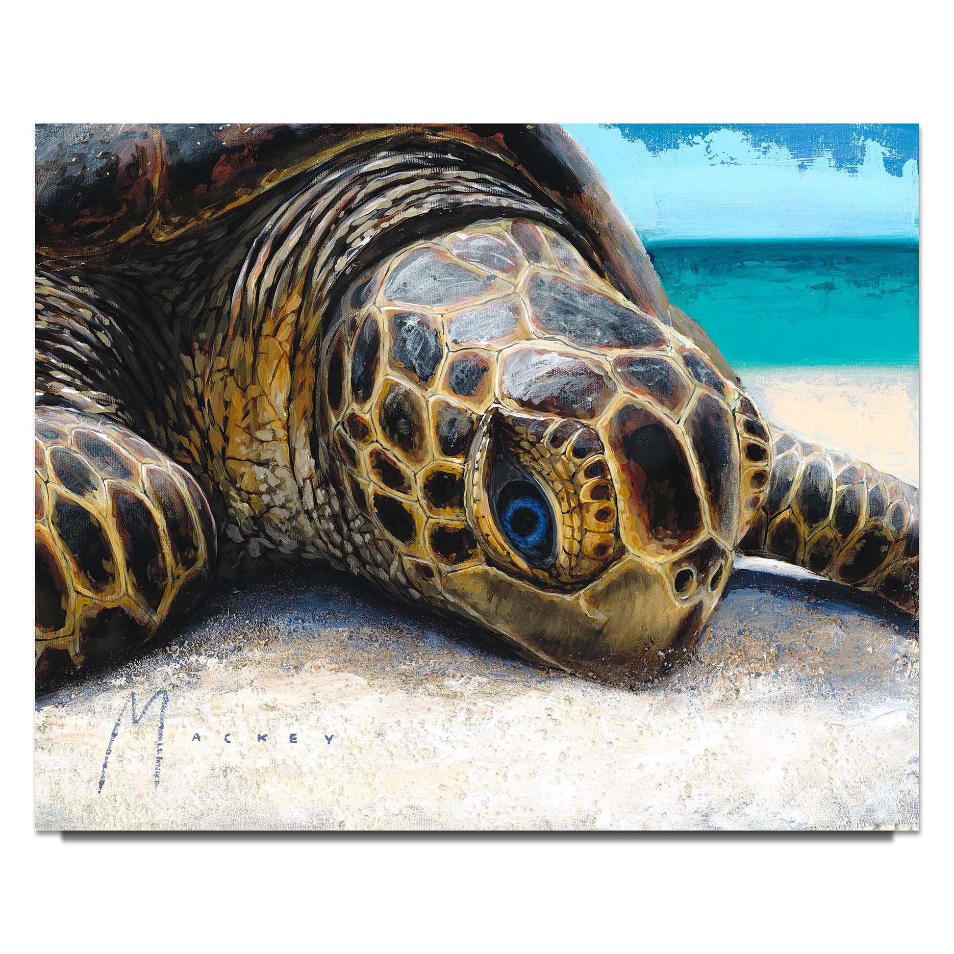 Shawn Mackey "Little Sunbather" Limited Edition Canvas Giclee