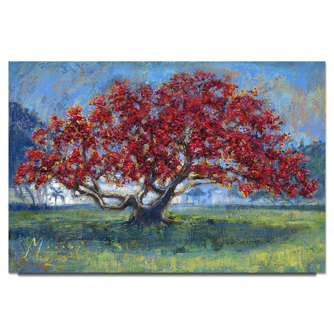 Shawn Mackey The Kapok Tree Limited Edition Canvas Giclee