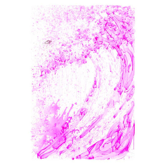 Tom Everhart Venice Moon Dogg E Series Limited Edition