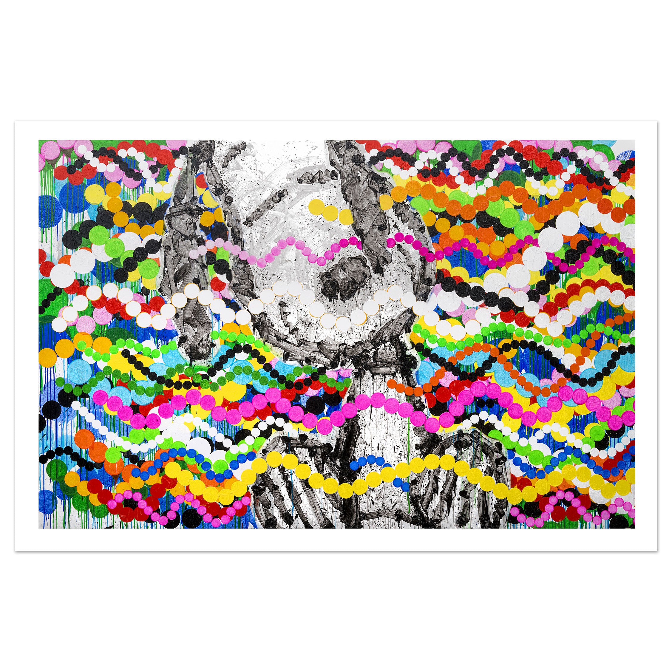 Tom Everhart Big Poppa Limited Edition