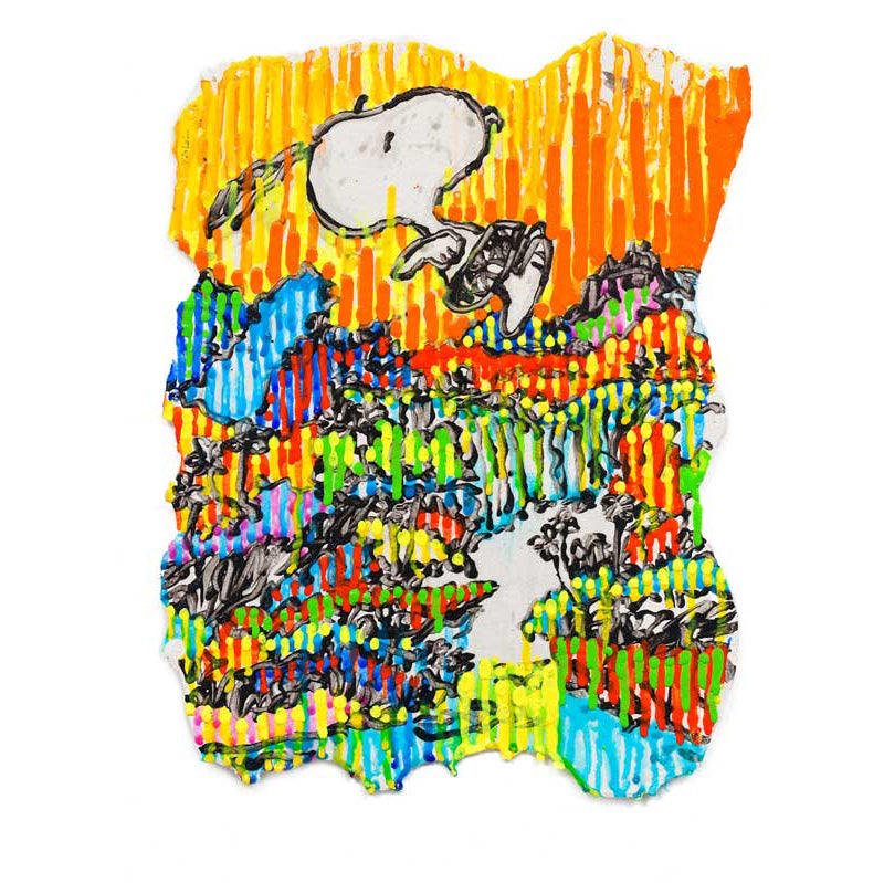 Tom Everhart Super Fly Series Limited Edition