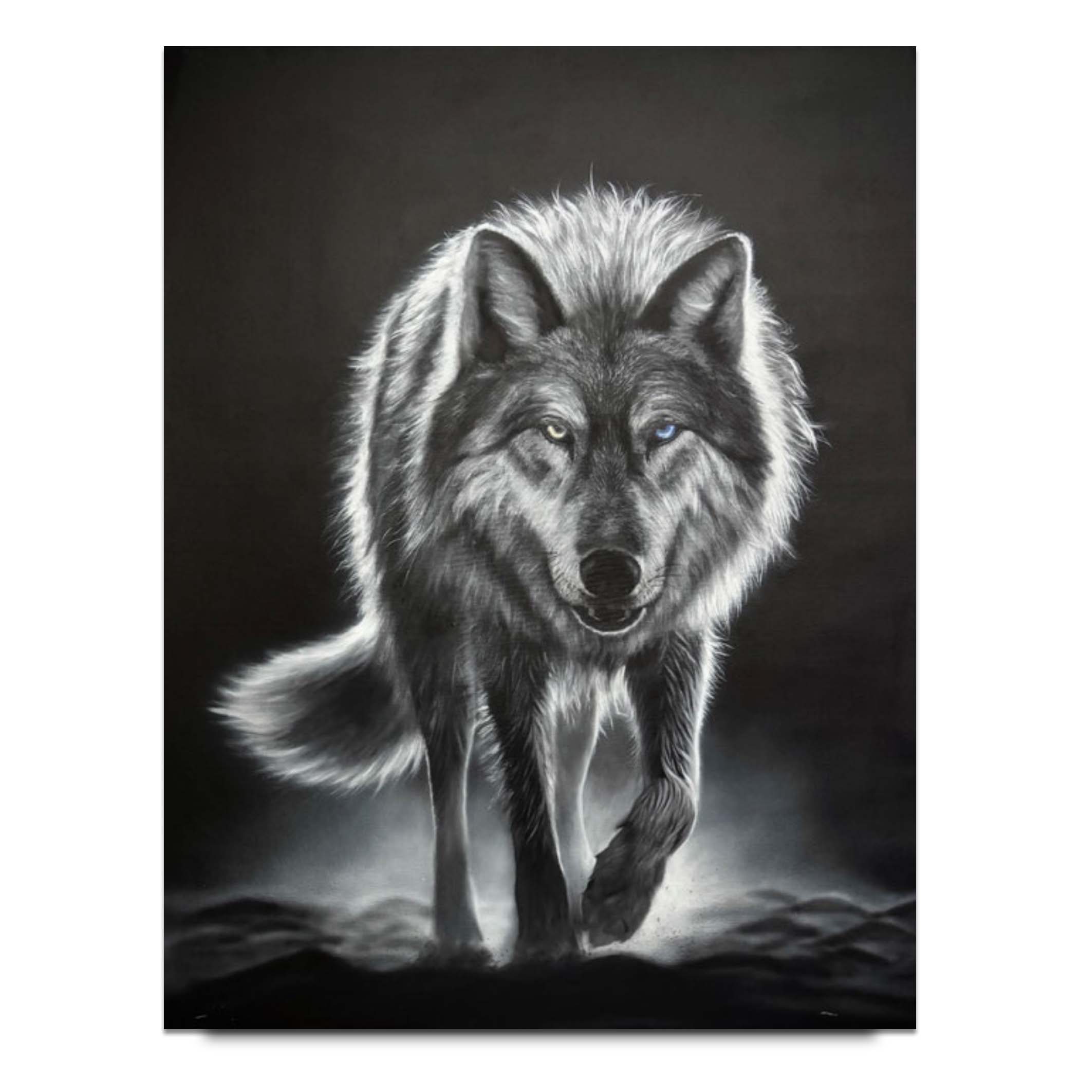 Kai Lava Tikaani (Wolf in Inuit)