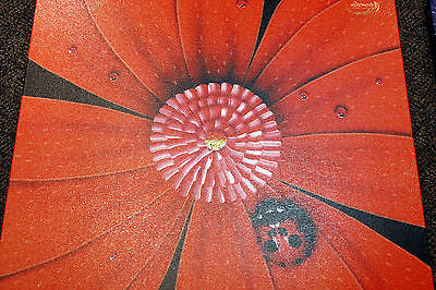 Michael Godard Colorful Flowers Limited Edition Paper Giclee