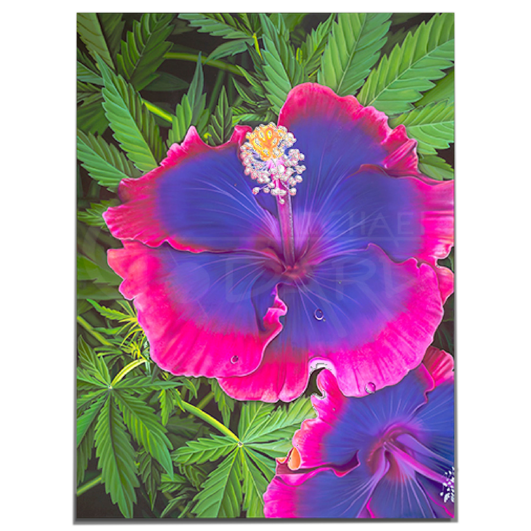 Michael Godard High-biscus Limited Edition Canvas Giclee
